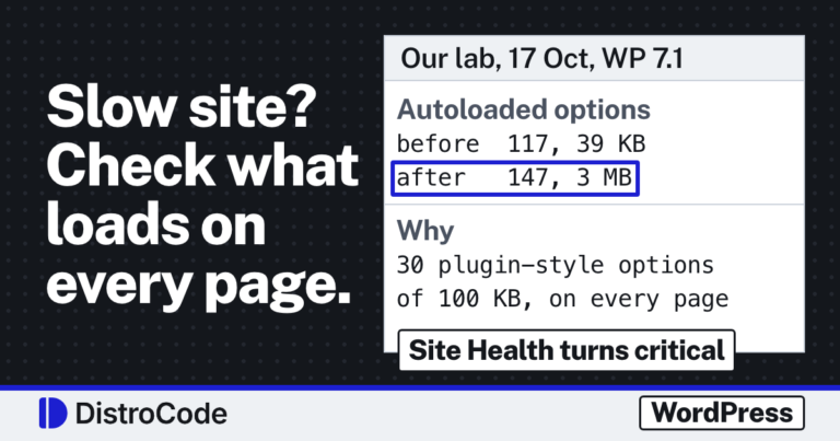 Card reading Slow site? Check what loads on every page. Beside it, lines from our 17 Oct 2026 WordPress lab: autoloaded options went from 117 options and 39 KB to 147 options and 3 MB after 30 plugin-style options of 100 KB each, which load on every page. A tag reads Site Health turns critical.